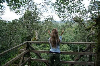 Up in a Ceiba Tree in the Jungles of Ecuador
