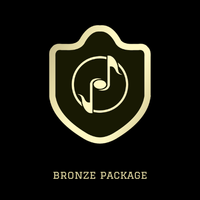 Bronze Recording Package