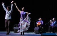 Jacome Flamenco CUATRO Concert