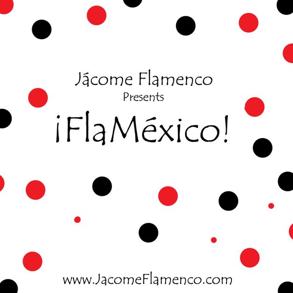 Flamenco From a to Z [DVD]
