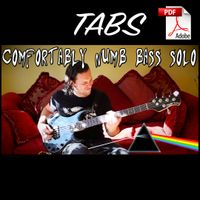 Comfortably Numb Solo On BASS Tabs 