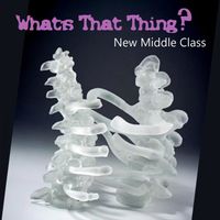 What's That Thing? by New Middle Class