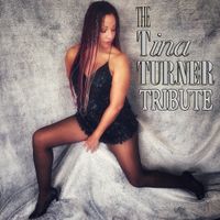 Tina Turner Tribute by Debby Holiday