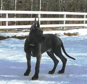 Jake at 14 weeks.
