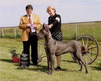 Jake Winners Dog Evelyn Kenny Kennel Club Show July 28th, 2009
