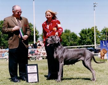 L & D Wagner Dog Afra, CGN Best of Opposite Sex, Winners Bitch Honourable Judge Rick Fehler Lethbridge & District Kennel Club, Saturday June 23rd, 2007
