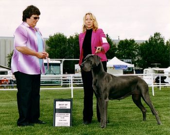 Quicksilver El Loco Blu Angel 1st place-Bred By Class Winners Female Best of Breed June 23, 2006 Judge- Cheryl Stuber (in photo above) 1st place-Bred By Winners Female Best of Winners Best of Breed June 24th, 2006 Judge- Maurice Tougas Lethbridge and District Kennel Club Championship Shows & Obedience Trials 3 points
