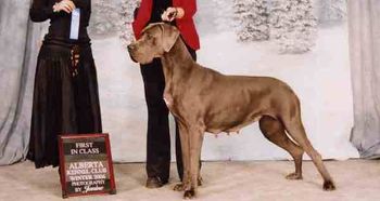 L&D Wagner Dog Afra, 1st Open Class, Alberta Kennel Club Show, February 5th 2006, Calgary, Alberta Judge-Edna Gonzalez
