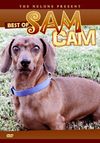 Best Of Sam Cam DVD