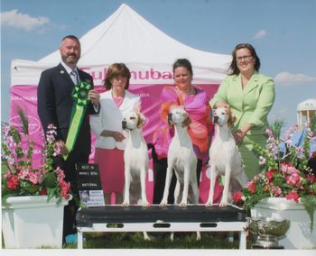 Best Brood Bitch 2015 APC National with Clara and Elle
