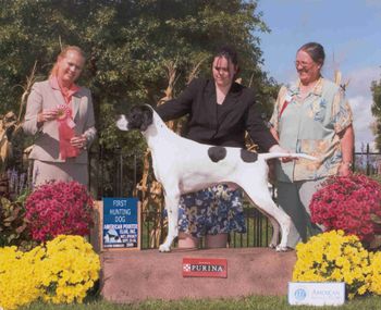 2009 APC Hunting Dog
