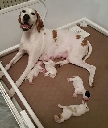 Proud Mama!
