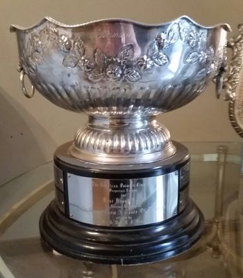 The Mr & Mrs NJ Reese Trophy for Best Brood Bitch at the National Specialty , won by Savvy in 2015
