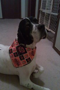 OSU Fan!
