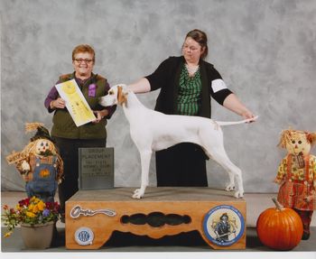 First group placement! Thank you breeder judge Marjorie Martorella!
