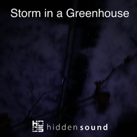 Storm In A Greenhouse