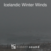 Icelandic Winter Winds