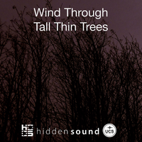 Wind Through  Tall Thin Trees