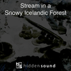 Stream In A Snowy Icelandic Forest