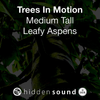 Trees In Motion Medium Tall Leafy Aspens