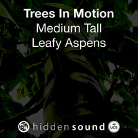 Trees In Motion Medium Tall Leafy Aspens