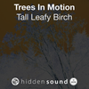 Trees In Motion Tall Leafy Birch