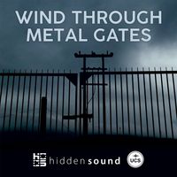 Wind Through Metal Gates