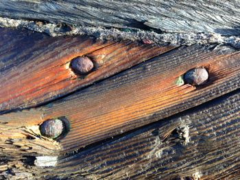 wood and rope on the beach
