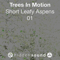 Trees In Motion Short Leafy Aspens 01