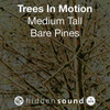 Trees In Motion Medium Tall Bare Pines