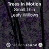 Trees In Motion Small Thin Leafy Willows