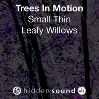 Trees In Motion Small Thin Leafy Willows