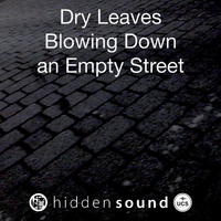 Dry Leaves Blowing Down an Empty Street