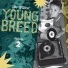 Young Breed Compilation Vol 2