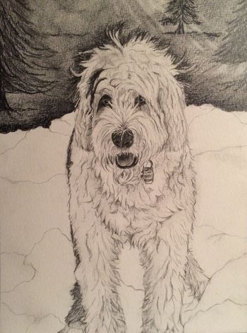 Winter-Pencil
