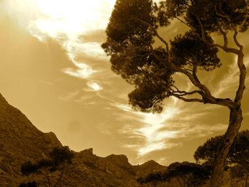 Les Calanques
