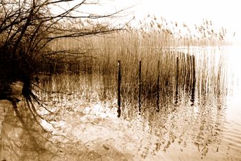 Lac D'aiguebellette
