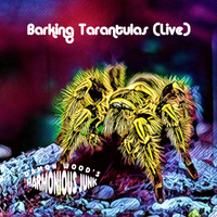 Barking Tarantulas (Live) by Damon Wood's Harmonious Junk