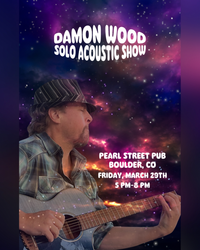 Pearl Street Pub - Damon Wood Acoustic Solo Show