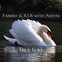 True Love by Fabbro & R.I.B with Aneym