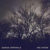 We Know by Aaron Sprinkle