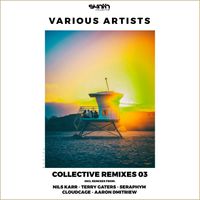 Collective Remixes 03 by Terry Gaters