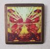 5x5 Butterfly design on wood (red & yellow)