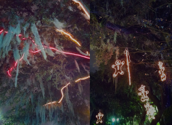 Spanish Moss + Strange Fruit Ginger Bread Men + Ancient Carnival Rides + Creepy Caliope Music = Very Surreal Celebration in the Oaks, City Park, New Orleans | December 2015
