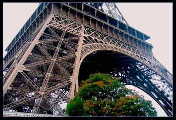 Eiffel Tower Paris, FRANCE
