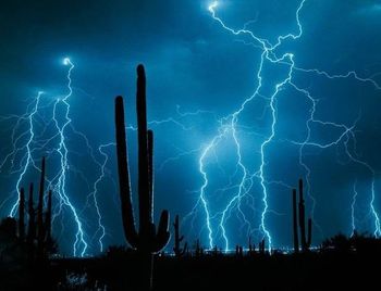 During the late summer is the "monsoon season," when spectacular lightning storms illuminate the desert.

