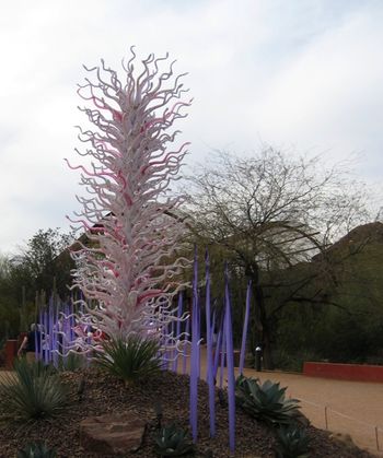Dale Chihuly Sculpture @ Desert Botanical Garden Phoenix AZ 2/22/14
