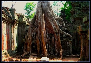 Angkor Wat Angkor, CAMBODIA
