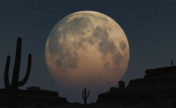 The dark skies and unobstructed view of the horizon create ideal conditions for moon viewing and stargazing.
