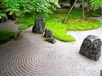 Rock garden Kyoto, JAPAN
